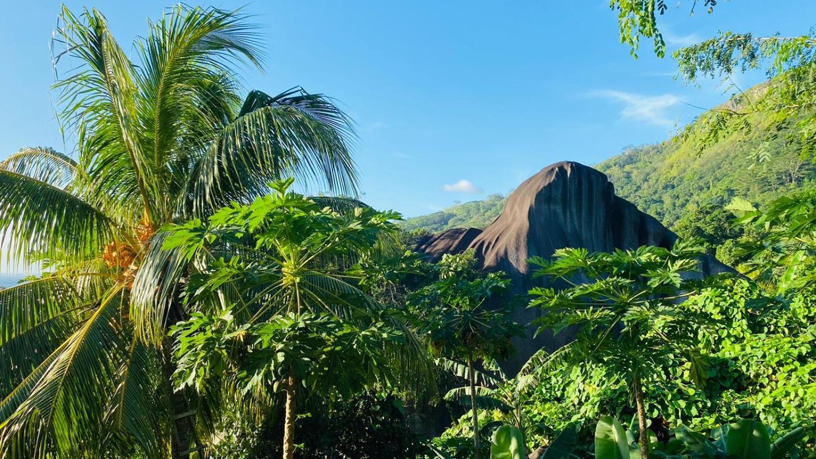 Josies Cottage Beau Vallon  Zewnętrze zdjęcie